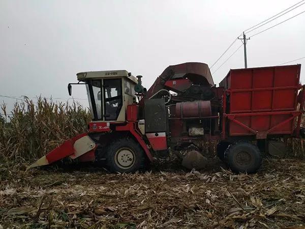 1603870722.jpg 微信圖片_20201028153813.jpg