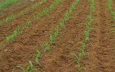 1653287033.jpg 1653287033.jpg